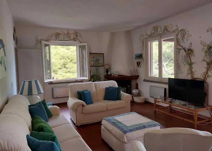 Magic Daire Fetovaia