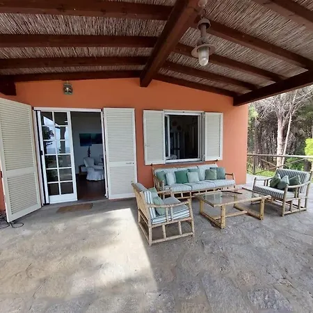 Magic * פטובאיה