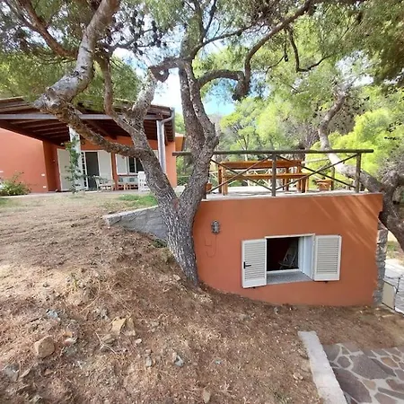 Magic * Фетовайя