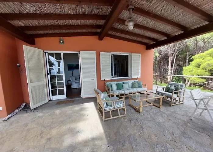 Magic * Фетовайя