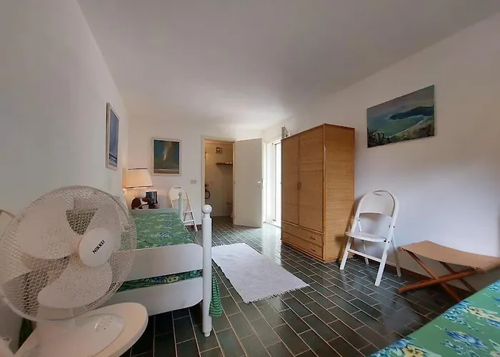 Magic * Фетовайя